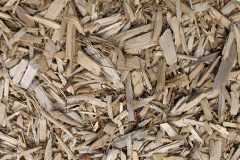 biomass boilers Kaimend